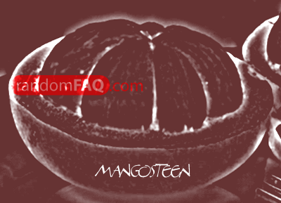 Mangosteen