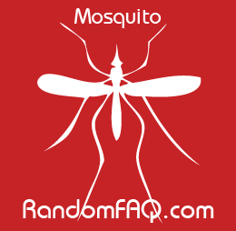 Mosquito Assassins