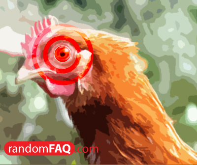 Chickens in Groovy Contact Lenses
